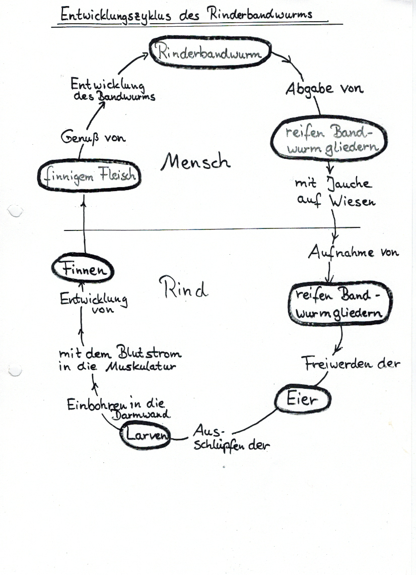 Klicke auf die Grafik für eine vergrößerte Ansicht

Name: Scannen.png
Ansichten: 740
Größe: 1,06 MB
ID: 33839