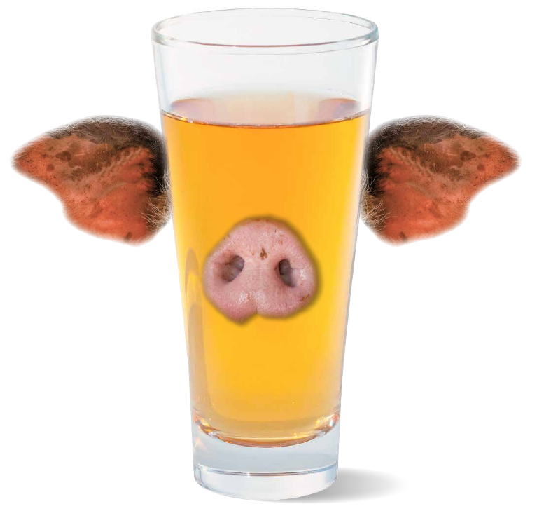 Klicke auf die Grafik für eine vergrößerte Ansicht

Name: schweinegelatine im Apfelsaft.png
Ansichten: 134
Größe: 322,4 KB
ID: 38613