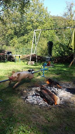 Klicke auf die Grafik für eine vergrößerte Ansicht

Name: 68CEEF8F-7F0E-42A5-857C-B0EC2141511F.jpeg
Ansichten: 1835
Größe: 568,6 KB
ID: 43728