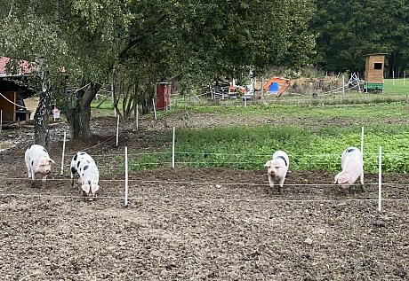 Klicke auf die Grafik für eine vergrößerte Ansicht

Name: D59DF015-9F88-47F0-925F-4759C7159463.jpeg
Ansichten: 1418
Größe: 1,16 MB
ID: 44430